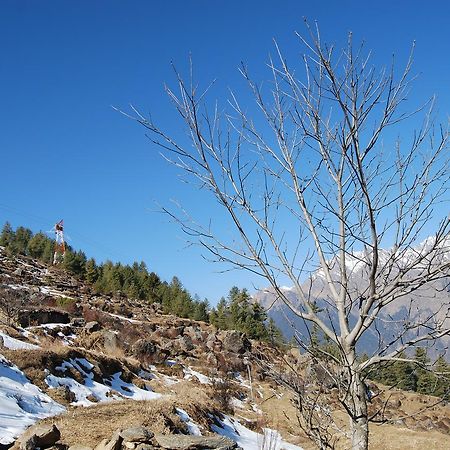 Auli Resort Joshimath Exterior photo